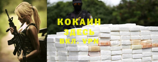 амф Алексин