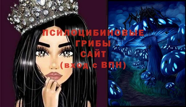 амф Алексин
